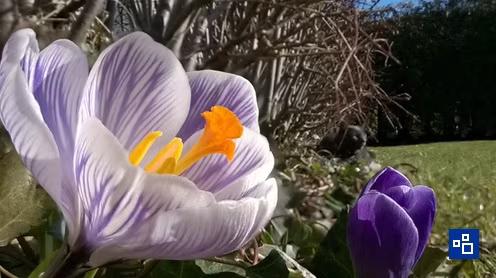 Screen_Shot_2014-03-14_at_12.42.56.avif