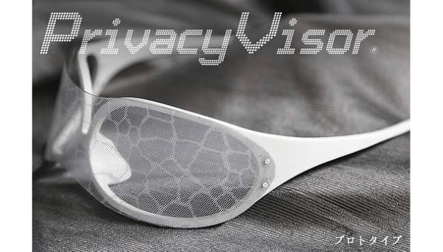 3050252-inline-priavacy-visor