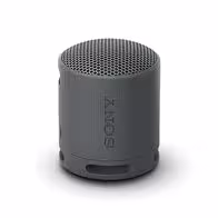 SRS-XB100