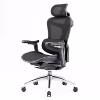 Doro C300
