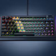 BlackWidow v4 75 % Barebones