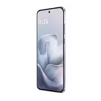 31855 bytes