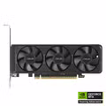 GeForce RTX 5060 LP BRK OC