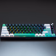 Reclusa Mini 65%