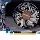 GT 630 2 GB