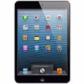 iPad mini
