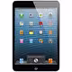 iPad mini 3G