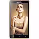 Golden Warrior S8