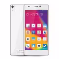 Vivo IV