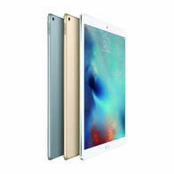 iPad Pro