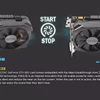 25067 bytes