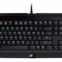 19004 bytes