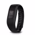 Vívofit 3