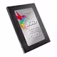 Premier SP550 480GB