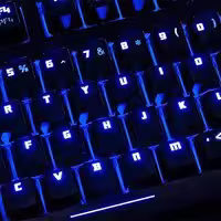 45499 bytes