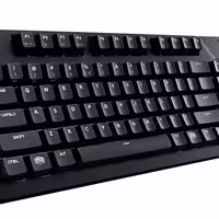 151921 bytes