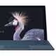 Surface Pro (Core m3)