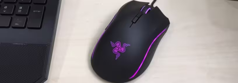 Cabecera de Mamba Tournament Edition