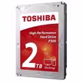 P300, 2 TB