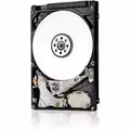 Travelstar 7K1000, 1 TB