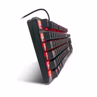 316784 bytes
