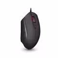Exon V30