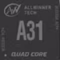 A31
