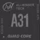 A31