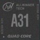 A31