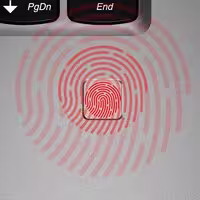 635564 bytes