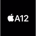 A12 Bionic