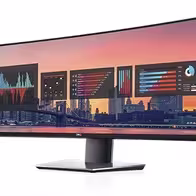U4919DW