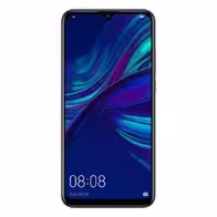 P Smart 2019