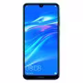 Y7 2019
