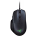 Basilisk Essential