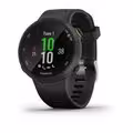 Forerunner 45 (42 mm)