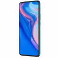 P Smart Z