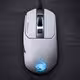 Kain 120 AIMO