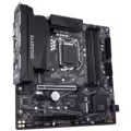 Z490M