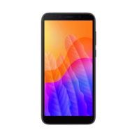 Y5p