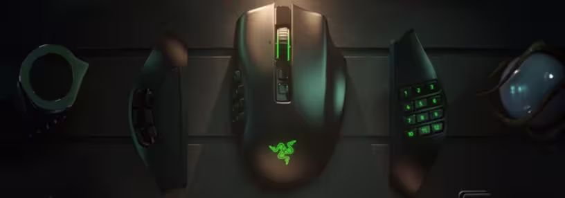 Cabecera de Naga Pro
