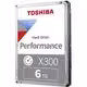 X300, 6 TB