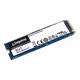 NV1, 500 GB