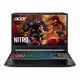 Nitro 5 AN515-55-55TJ