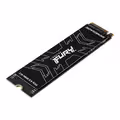 FURY Renegade, 500 GB