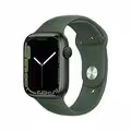 Watch Series 7 (45 mm)