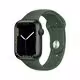 Watch Series 7 (45 mm)