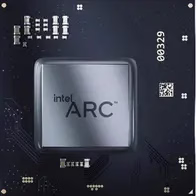 Arc A310