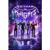 Gotham Knights