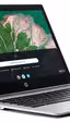 Google y Parallels se alían para usar aplicaciones de Windows en Chrome OS